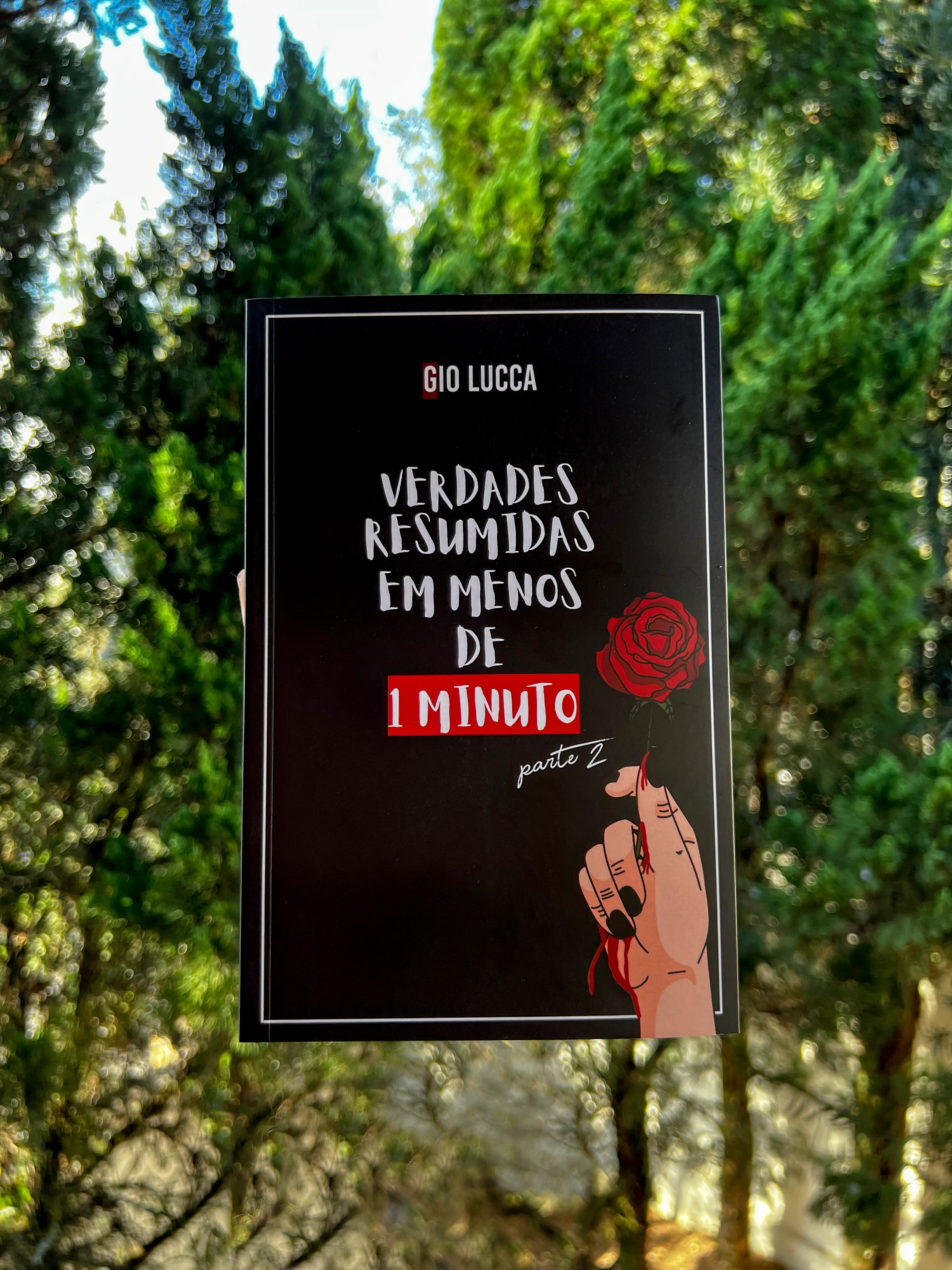 LIVRO “VERDADES RESUMIDAS EM MENOS DE 1 MINUTO” PARTE 2