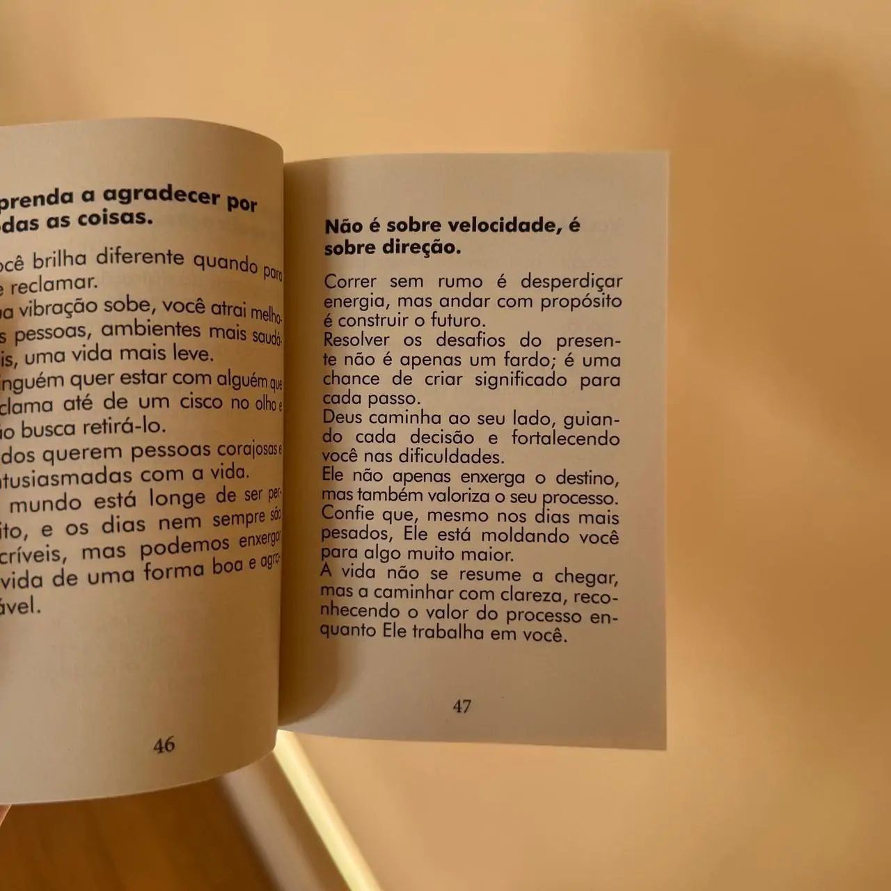 Livro FISICO "Jornada de Crescimento" - Imagem 2